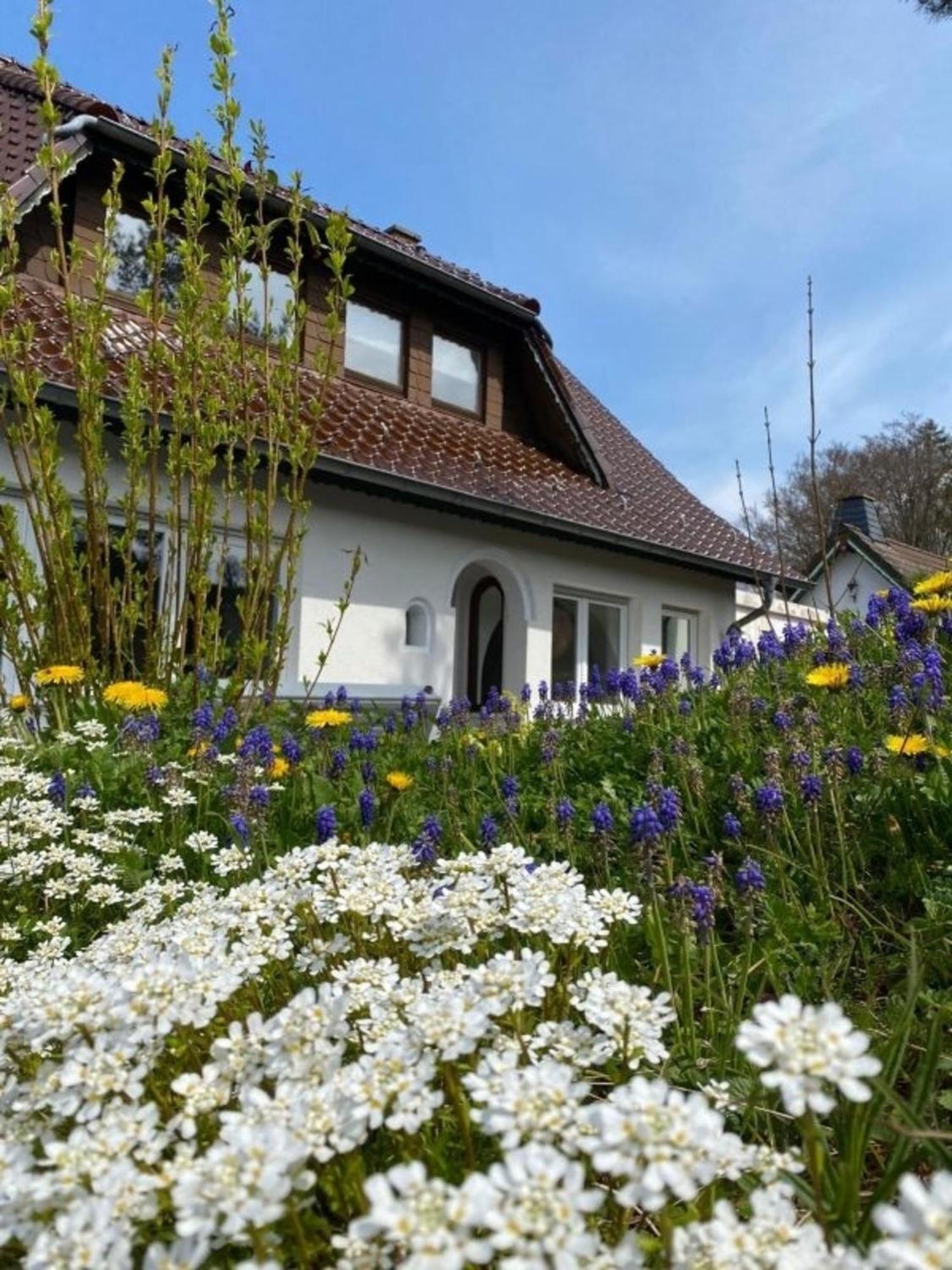Ferienwohnung Eifelglueck Pelm Kültér fotó